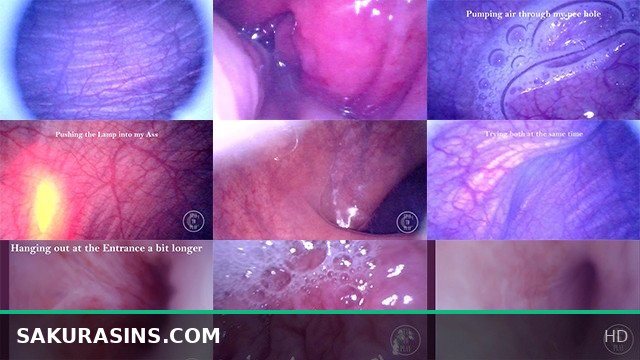 Dick, Ass & Bladder Explored: Endoscope POV