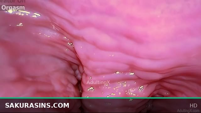 Inside My Vagina POV: Cervix Cam & Clit Vibrator Orgasm