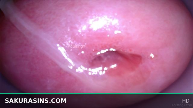 Camera in Vagina cumming, cervix throbbing, orgasm contractions, gfe raw talk, bts - My Muse Part 5