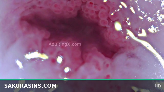 Cervix Throbbing, Dilated, Heartbeat, Extreme Close-up, Stunning, ASMR