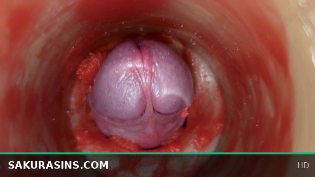 Sperm-Free Cum Shot Captured with Stunning 4K Internal Camera Footage