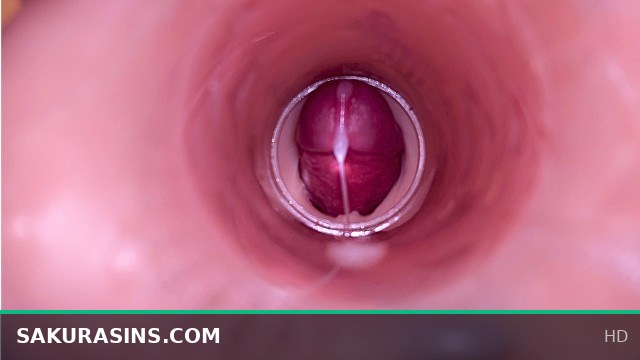 Female Insemination Caught on Internal Camera Showing Intense Male Ejaculation