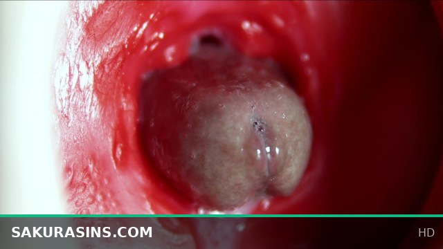 Huge anal orgasm with intense moaning and a massive load of cum inside!